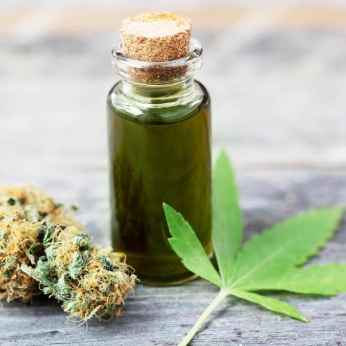 bottle-of-cannabis-oil-with-bud-V6HMQK9-1