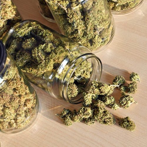dry-and-trimmed-cannabis-buds-stored-in-a-glas-jar-PP4THVA-1-e1634563958624.jpg