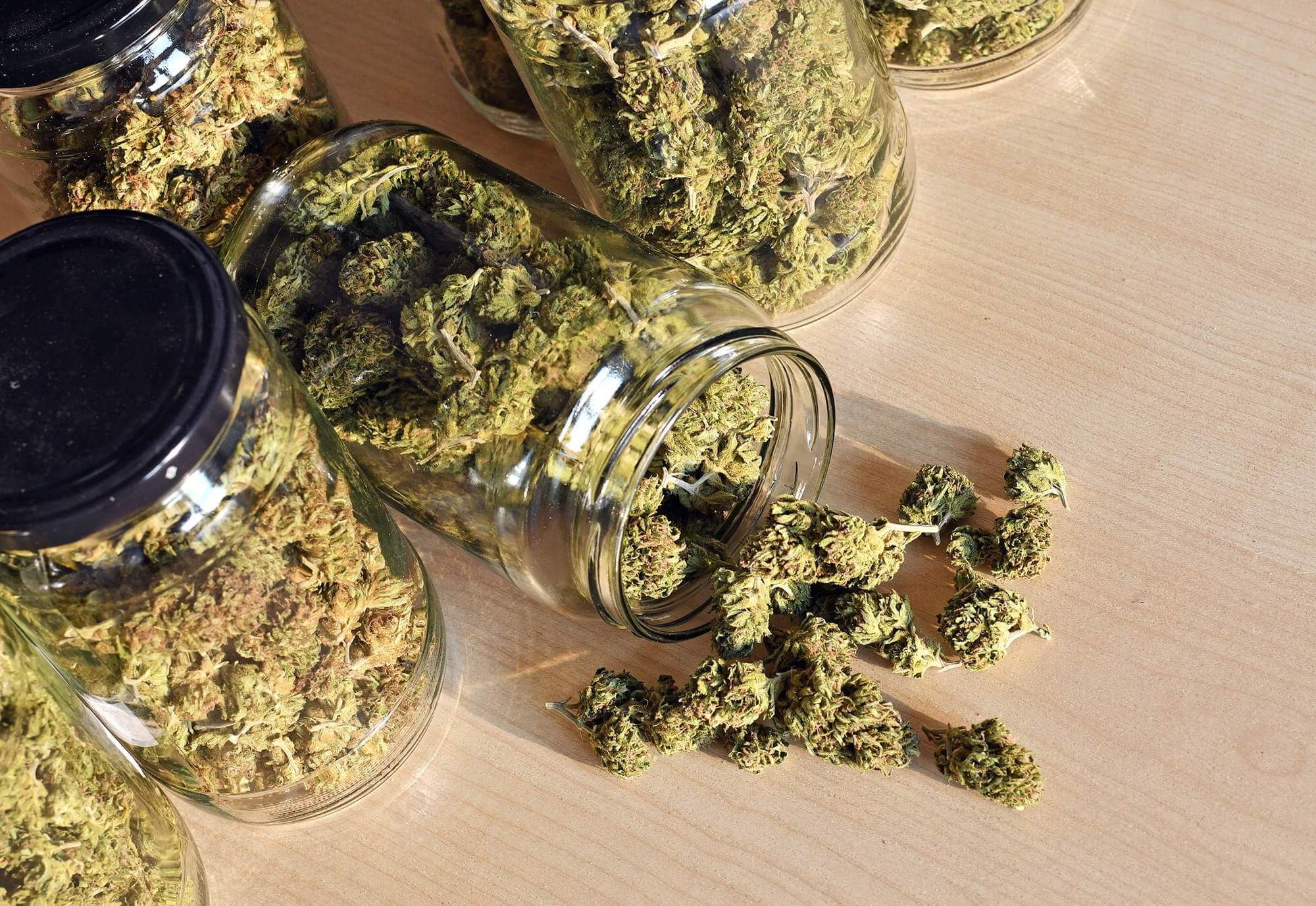 dry-and-trimmed-cannabis-buds-stored-in-a-glas-jar-PP4THVA-1-e1634563958624.jpg